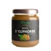 Miel d'euphorbe (Daghmous) du Maroc - 250g